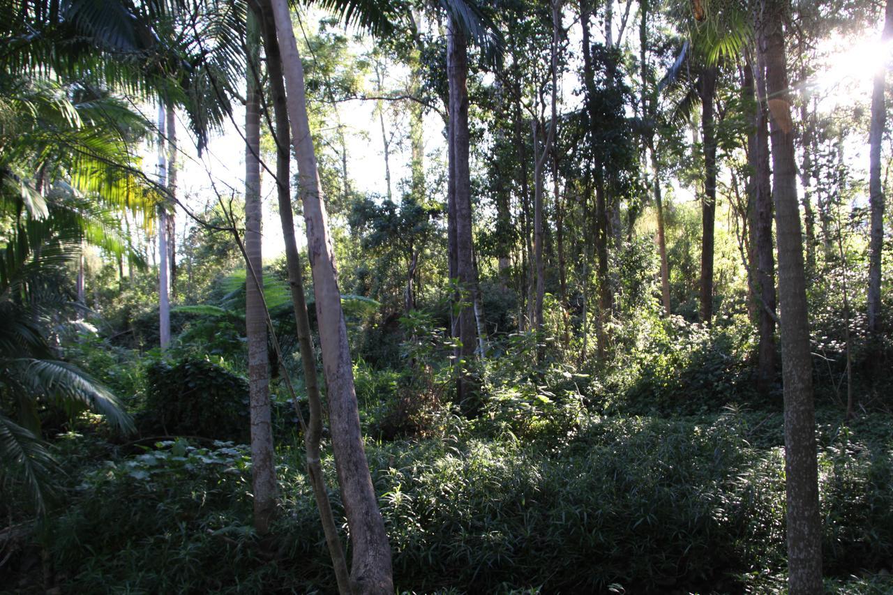 Paperbark Bed & Breakfast Брисбен Экстерьер фото